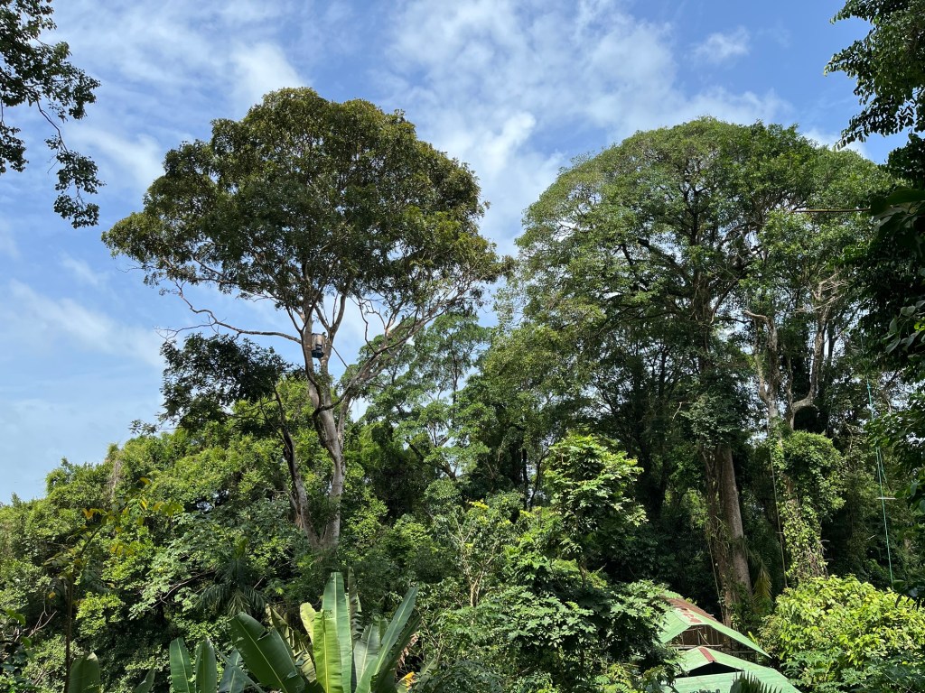 Puerto Limón, Costa&nbsp;Rica